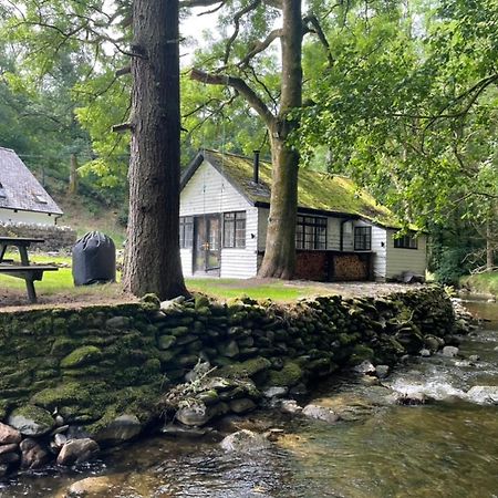 Cuckoo Cabin, Tyn Y Cwm Eglwys-Fach Luaran gambar